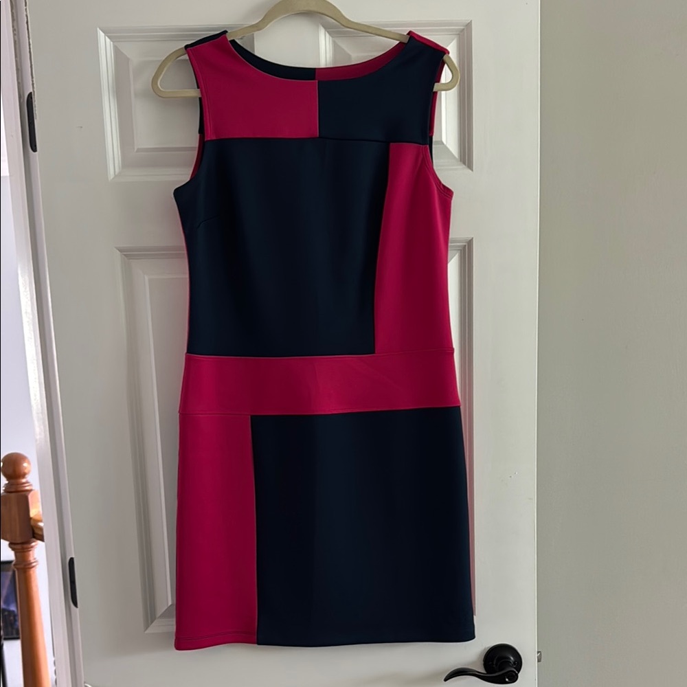Enfocus Studio Asymmetrical Black and Pink Sheath Dress